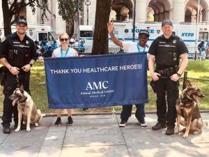 AMC members joined NYPD Canine Teams: Dr. AnnMarie Zollo, an Emergency &amp; Critical Care Staff Doctor; and Rufai Ahmed, a Clinical Veterinary Assistant. Photo courtesy of Animal Medical Centr