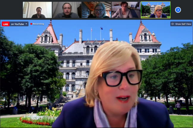 Screenshot of New York State Assembly Member Rebecca Seawright addressing the CB8 board.