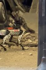 The FDNY employed its new Dalmatian robo dog for the first time in a building collapse at the parking garage on Ann Street on April 18th to initially search for possible survivors and then and then on the morning of April 20 to locate and help extract the lone fatality in the collapse of the four story garage. Photo: FDNY twitter