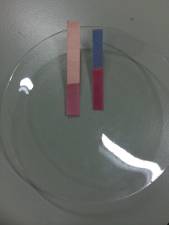 The effect of acid solution on red and blue litmus papers. In an acid solution, the litmus papers turn red.