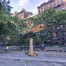 Alex Bailey, a user on ‘Nextdoor,’ shared a photo of a fallen tree that had completely toppled over and broken the fence in a park in the West Village.