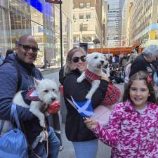 Tartan Day Parade welcomes dogs who wear plaid too.