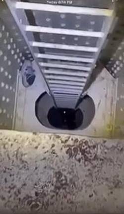 Companions posted videos of the injured Franke Allocca moaning in pain after he fell down a 50 ft shaft on the Queensboro Bridge but they fled and never notified first responders.