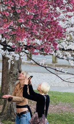 Ladies get some close up on the blossoms