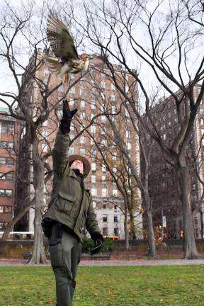 Rob Mastrianni releasing a hawk in Central Park earlier this month. Photo: Daniel Avila, New York City Parks &amp; Recreation Department