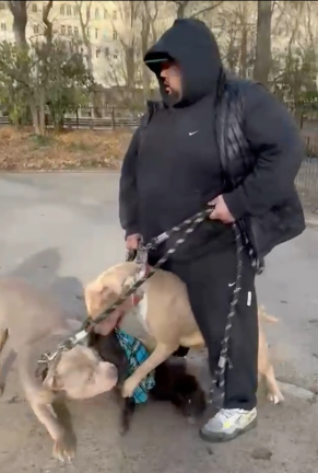 Joe Columbus holding Rambo and Zoey as they allegedly killed a Shih Tzu in January 2024. The Department of Health ordered the dog owner to take measures to control the two dogs, but he apparently never complied with the order.