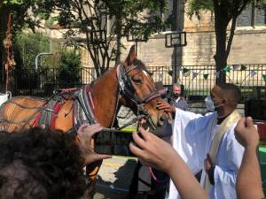 One standout animal attendee was King, a NYC carriage horse, blessed by Father Paul Daniels. Photo: Gabriella Ferrigine