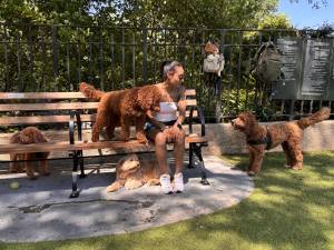 Dogs and their owners gather at the Carl Schurz dog run.