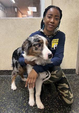 Counselor Sylvanna at Camp Canine.