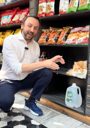 Keith Powers says he is in the process of proposing a City Council bill that would effectively “legalize” bodega cats, which are technically barred from all food establishments under NYC’s health code.