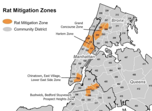 West and East Harlem are both included in the city’s rat mitigation areas. <b>Photo: Department of Health.</b>