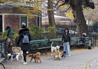 Stuyvesant Square Dog Park