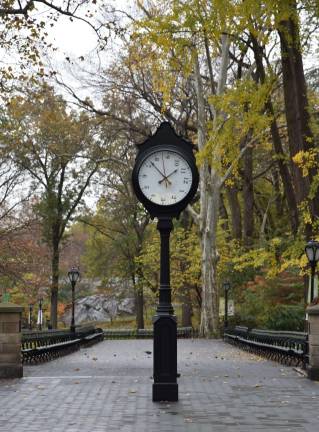 Coming up in Central Park