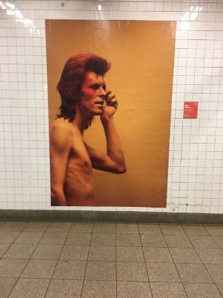 Bowie in the Ziggy Stardust days. Photo: Mark Nimar