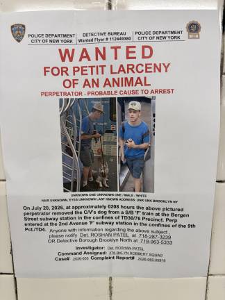 Dog Stolen at F Train at Bergen Street in Brooklyn, last seen on Second Avenue on the Lower East Side.
