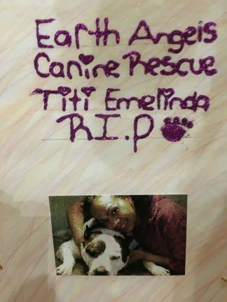 Photos by Barbara Ross