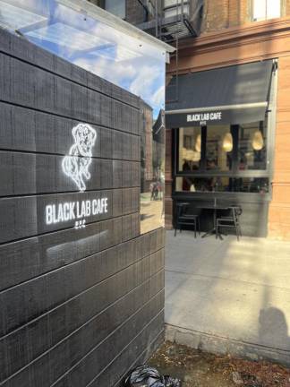 The Black Lab Cafe is a place that serves coﬀee and pastries, and one where dogs can run oﬀ-leash. Photo: Kay Bontempo