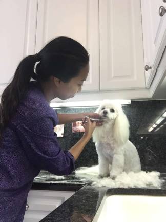 Atsuko Ishikura of A1 Pet Grooming at work. She says such styling can help an animal&#x2019;s mental and physical well-being.