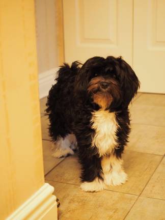 Settling into a retirement routine Third of six parts