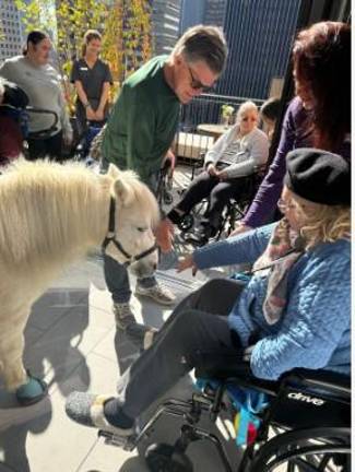 Two of HorseAbility’s miniature therapy ponies, Aiden (seen above) and Pearl, visited the residents of Upper East Side assisted living facility Sunrise East 56.