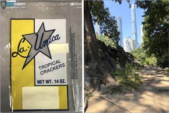 Unsolved: the identity of the bomber who put explosives in a La Unica cracker bag that detonated by these rocks in Central Park on July 3, 2016.