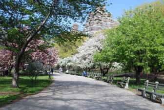 Riverside Park via riversideparknyc.org