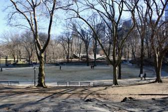 Central Park in late February. Photo: Meryl Phair