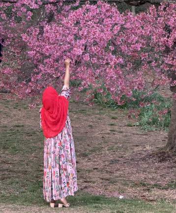 A lady admires the blossoms.