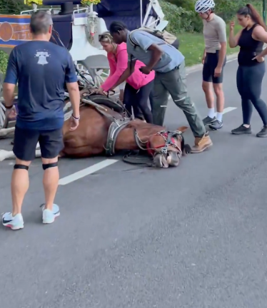 A carriage horse named Deniz collapsed and died in Central Park on June 9, leading to renewed calls to ban the carriage trade in New York City entirely.