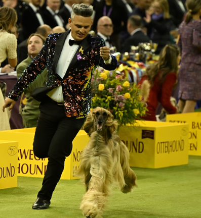 Handlers get put through the paces too.