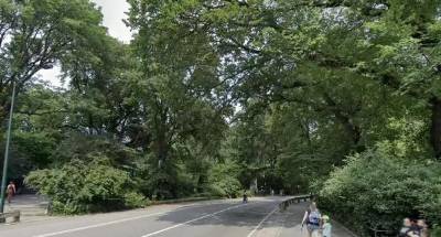 A 71-year-old man was killed after flying off his bike while avoiding an off-leash dog on East Drive, near E. 84th Street, on October 5.