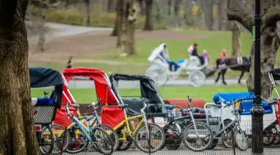 The City Council is looking into recommendations on how to reform the city’s pedicab industry, Council Speaker Julie Menin says.