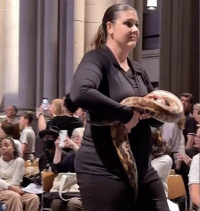 There’a a snake in the nave!