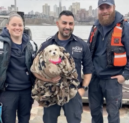 Officers Jenny Driscoll, Jared DeSalvo and Joe Pascone (left to right) with “Hudson” after rescuing her from the East River.