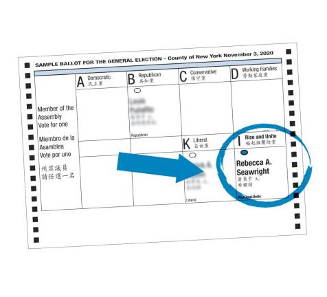 Section of sample ballot for the State Assembly, courtesy of Assembly Member Rebecca Seawright’s office.
