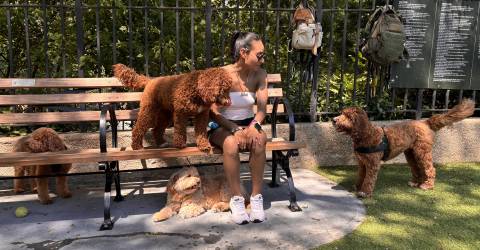 Dispute Over Dog Treats Sparks Debate at Carl Schurz Dog Run