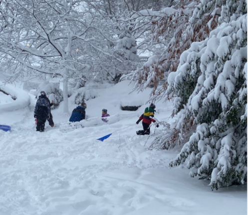 Kids pull sleds in Carl Schurz Park on Feb. 23 on a day when Mamdani cancelled classes and gave a snow day.
