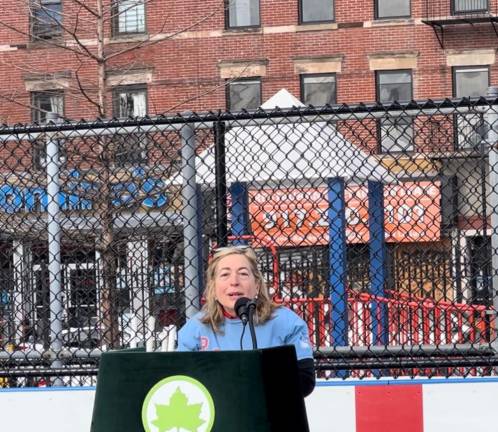 Valerie Mason, the Community Board 8 Chair, speaking at the rink renovation ceremony.