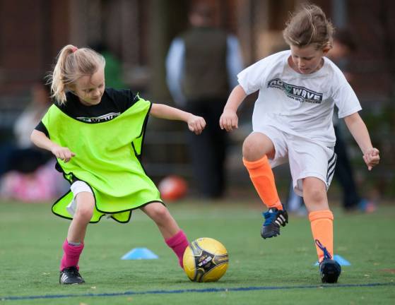 Asphalt green fury in indoor tournament Sports