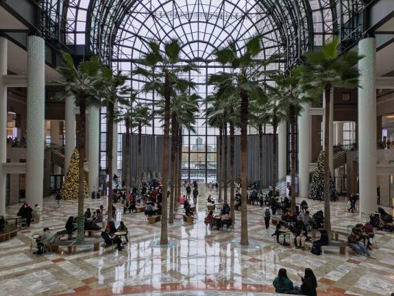 The palm trees at Brookfield Place. “Hey Santa, I can see Jersey from here!”