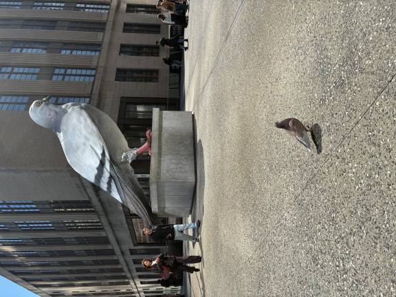 ”Dinosaur” by Iván Argote, the towering pigeon statute on The High Line, is eyed by one of its living counterparts during a recent visit to the sculpture by Straus News.