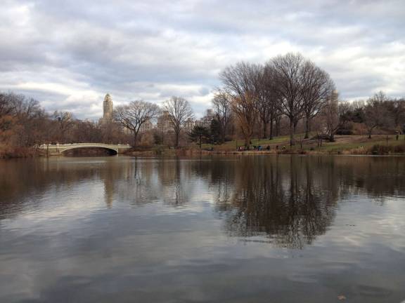 central park panorama