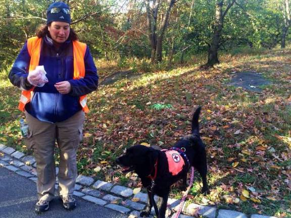 Yoo and Roth hired SMART, Summit's Missing Animal Response Team, out of Connecticut to help track down Duck.