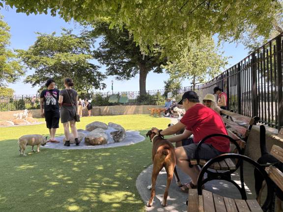 The Carl Schurz dog run recently underwent a $300,000 renovation.