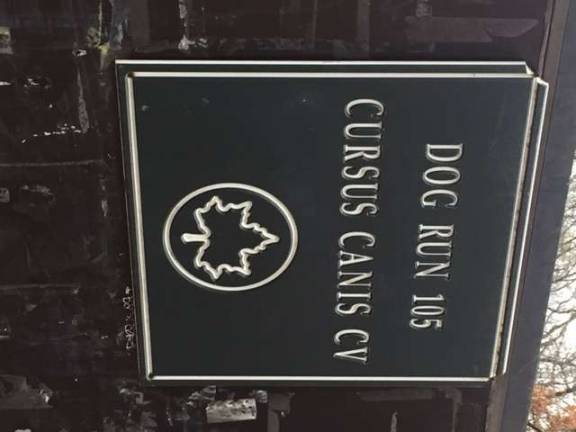 A dog hangs out near a canine hot spot&#x2014;the 105th Street Dog Run in Riverside Park