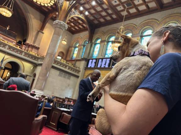 Penny and Lauren Claus in Albany lobby for a bill that would hold dog owners responsible for attacks and damage caused by their pets.