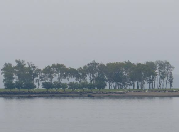 With the sky and water befitting the nature of the island, Hart Island is all about New Yorkers. Their rest is sealed forever over 130 acres of land, away from all the bustle that they knew during their lives.