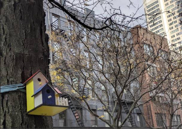 Another birdhouse on the south side of East 81st Street, looking toward 407 and 409 East 81st Street.