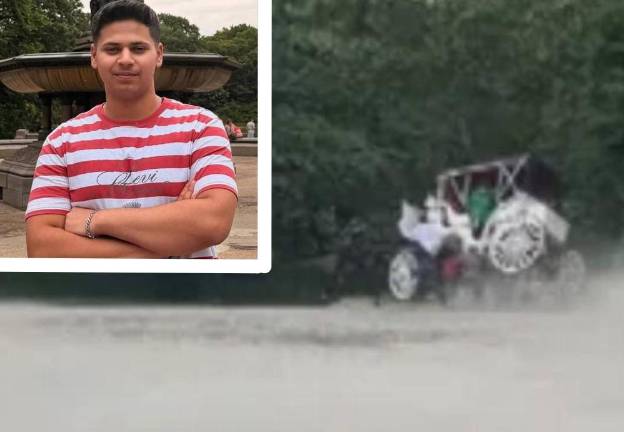 Carriage teeters on two wheels after its horse bolted after its driver disembarked to take a photo of tourists. Indian teen Romanch Mahajan died from traumatic head injuries when he was thrown from the carriage.