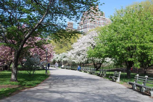Riverside Park via riversideparknyc.org